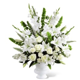 Morning Stars Arrangement