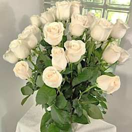 Bouquet of white roses with green foliage