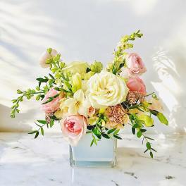 Pink and white roses arranged in a clear square vase