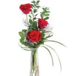 Three red roses in a tall clear vase with curved decorative grass