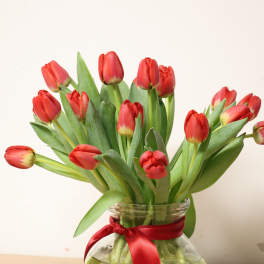 Red tulips in a clear glass vase with a red ribbon
