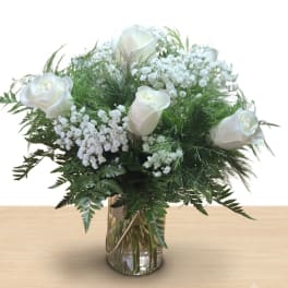 Half Dozen White Roses