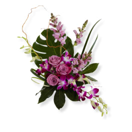 Purple Tropics