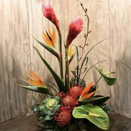 Tall tropical arrangement with bird of paradise, red protea, and anthurium