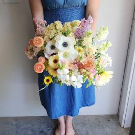 Pastel Garden - ( Gardener's Choice)