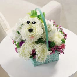 White chrysanthemum dog arrangement in a turquoise basket with a ribbon handle