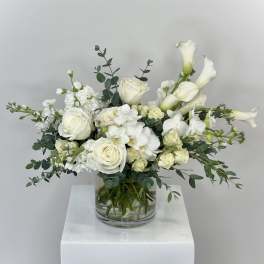 Purity