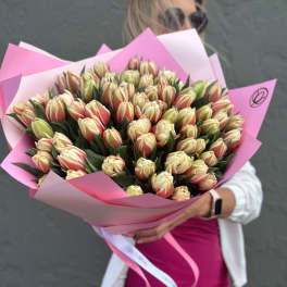 Bouquet of cream and pink tulips wrapped in pink paper