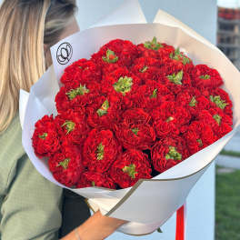 Large bouquet of red carnations wrapped in white paper