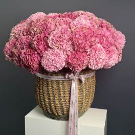 Blush Hydrangea Garden