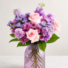 Lavender Blush Garden