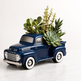 Classic Ford Succulent Truck