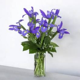 Blooming Iris Bouquet