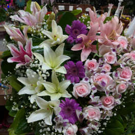 Heart shaped flowers