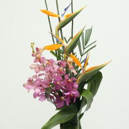 Tall tropical arrangement with pink orchids and orange bird-of-paradise in a clear vase.