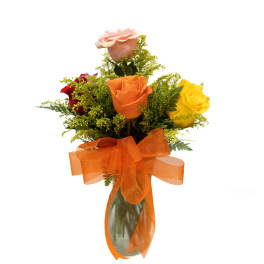 HALF DOZEN MULTI COLOR ROSE ARRANGMENT