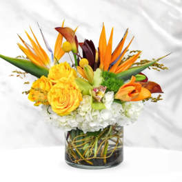Tropical bouquet with orange bird of paradise and yellow roses in a glass vase