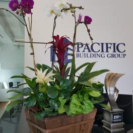 Interior landscape design