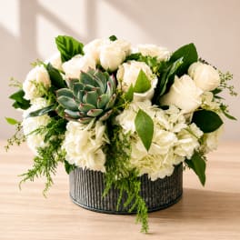 Roses & Succulents Arrangement – Rustic Charm Meets Modern Elegance
