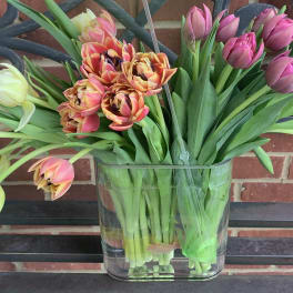 Glass vase of pink, yellow, and orange tulips
