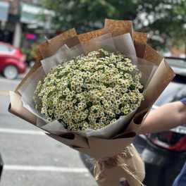 Bouquet of small white daisies wrapped in brown paper