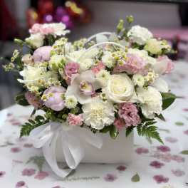 Pastel Bloom . The photo shows the standard size.