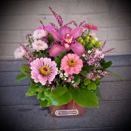 Pink orchid and daisy arrangement in a square container