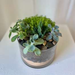 Succulent Twist