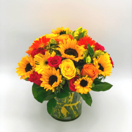 Cheerful and Happiness
