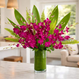 Magenta orchids arranged in a tall glass vase with fern accents