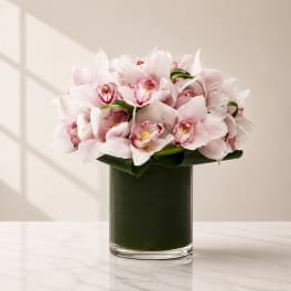 Pink Velvet Orchid – Elegant Cymbidium Arrangement (Same-Day Delivery Los Angeles)