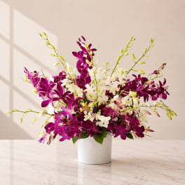 Kokomo Tropical Orchid Arrangement