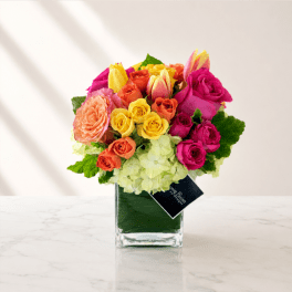 Olvera Arrangement by My Blooming Business