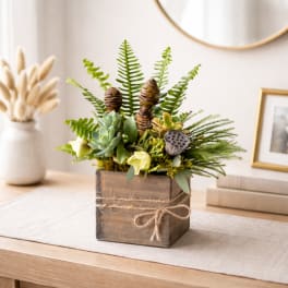 Succulent arrangement in a wooden box with fern fronds and pinecones