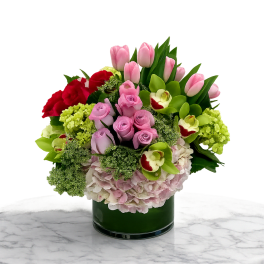 The Blooming Tulips.