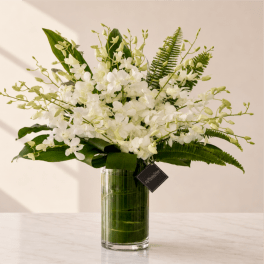 White Orchids