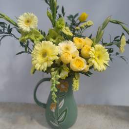 Daisy, Daisy