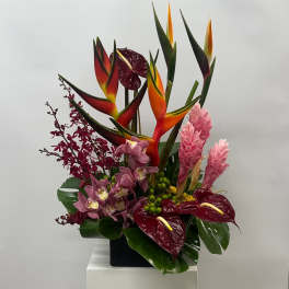 Tropical arrangement with red anthuriums, pink ginger, and orchids in a black container