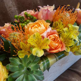 Bouquet of peach roses, yellow alstroemeria, and succulents in a white box