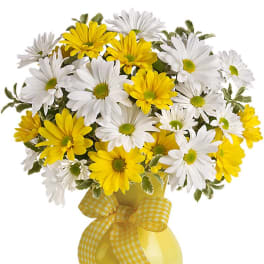 Yellow and white daisy bouquet in a yellow vase with a gingham ribbon