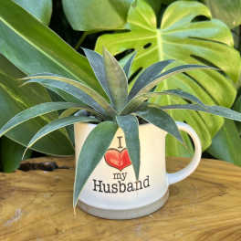 I Love My Husband