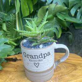 Grandpa