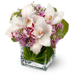 Low cube vase of white cymbidium orchids with pink filler flowers and green leaves