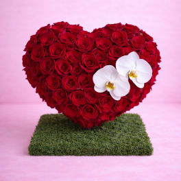 Heart-shaped red rose arrangement with two white orchids on a green base