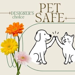 Gerbera daisies beside a dog and cat high-five graphic with "PET SAFE" text