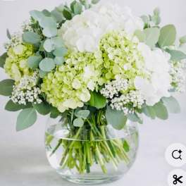 Heavenly Hydrangeas