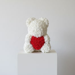 White rose teddy bear with a red heart on its chest