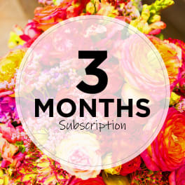 Colorful bouquet background with a "3 Months Subscription" label