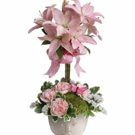 Blushing Lilies