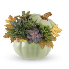 Succulent arrangement in a pale green pumpkin-shaped container with autumn leaves